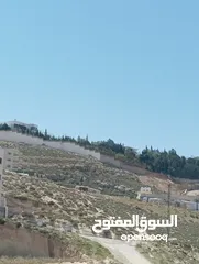  5 ارض مميزه جدا للبيع فورا مطل الجبيهه