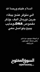 1 مطلوب ببغاء جرين شيك