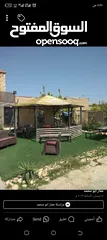  10 معرشات قصيب على جميع الاشكال الهندسيه