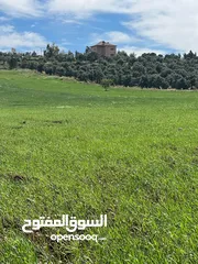  8 ارض للبيع جرش عنيبه منطقة شاليهات مساحة الارض 3500متر بقوشان مستقل اطلاله مميزه جدا جدا