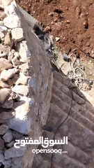  31 استصلاح اراضي زراعيه بناء سناسل حجريه سلاسل حجريه تشييك اراضي تشييك مزارع تنسيق حدائق وبناء