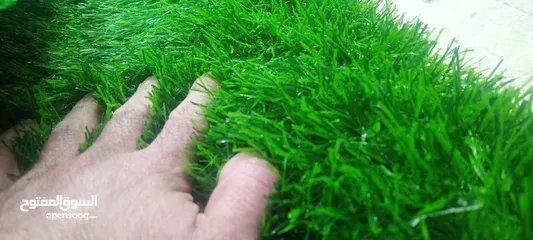  23 عشب صناعي اطقم مراجيح باقل اسعار