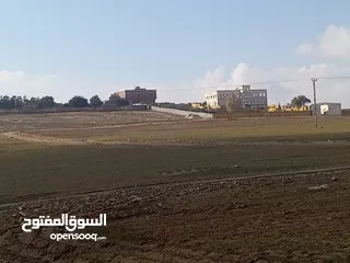  5 تملك قطعه ارض بجانب قصر  غرب مطار الملكه عاليه من المالك مباشره
