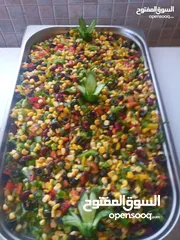  6 شيف طباخ شرقي وغربي وسلطات ابحث عن عمل خبره في الاكل العربي والسلطات خبره في الفندق وشركه