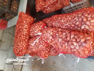  7 بصل قناري بلدي