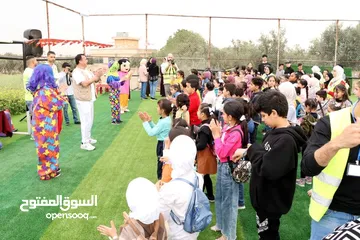  3 مهرجانات وأفتتاح مولات
