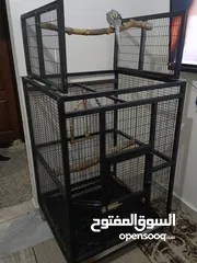  2 قفص كاسكو تفصيل