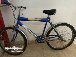  1 Adult Bicycle For sale