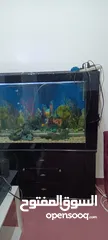  1 Aquarium Set