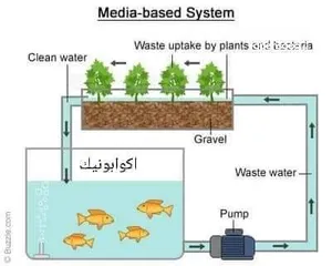  6 حوض سمك فايبر جلاس