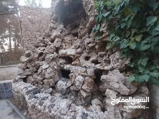  7 فيلا مفروشة فاخرة سوبر ديلوكس اعلان رقم (V94)
