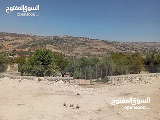  22 ارض مميزة مطلة ابو السوس غرب عمان عدة قطع في المنطقة.
