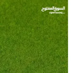  1 عشب صناعي 300متر