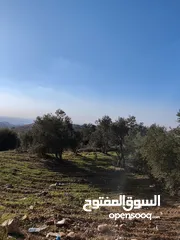 1 400 متر للبيع في غرب حلحول