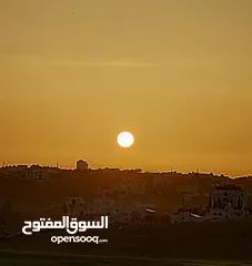  5 قطعة ارض للبيع في قعفور بالقرب من جمرك عمان الجديد قريه قعفور