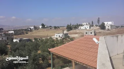  15 مزرعة مع بيت لقطة للبيع