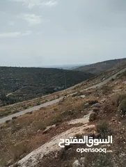  2 ارض للبيع في أراضي بزاريا