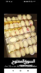  16 حلويات العيد