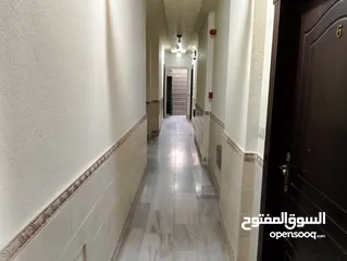  13 ستوديو مفروش