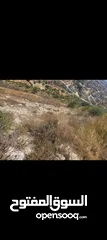  1 ارض للبيع قرب ضاحية الغدير ابو قش فوق الضاحية من أراضي جفنا سعر حرق