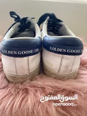  5 Golden goose