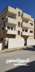  8 عمارة من اربع طوابق العمارة فارغة