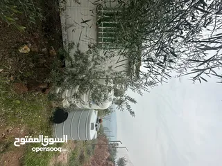  3 ارض مميزة 3ونص دونم للبيع من المالك مباشرة