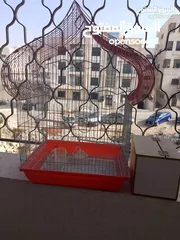  2 قفص عصافير مميز