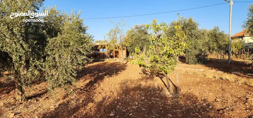  22 جرش جبا  مقابل ثغرة عصفور