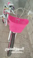  4 بسكليت 20 بناتي