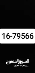  1 رقم مميز للببع