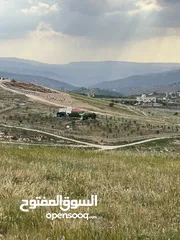 1 ارض للبيع جرش عنيبه مساحة الارض 3500متر مسنسله اطلاله بنوراما مميزه