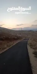  1 ارض للبيع في النصارية.العقربنايه