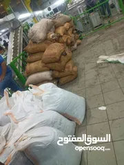  1 بعل رومي مضمون ومكفول وافحص وين مابدك حصل علا شهاده اعتماد من الغذا ودوا