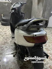  6 فراشة للبيع