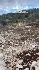  1 أرض للبيع في جنوب  غرب كفرراعي على شارع رئيسي واصل جميع الخدمات