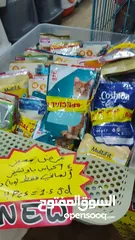  2 اكل رطب للقطط