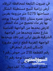  1 ارض زراعية للبيع في صروت - الزرقاء