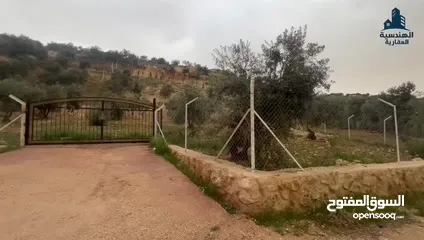  24 مزرعة للبيع من اراضي غرب عمان  منطقة البصة (ابو السوس ) للبيع بسعر مغري