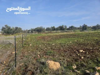  1 نمرتين ارض