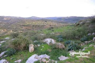  9 دونم ارض طابوا فلسطيني منطقة (B)بالقرب من دوار كفرصور جميع الخدمات فيها عليها شارع 12متر موقع مميز