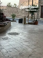  4 محلات للبيع