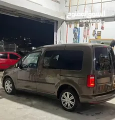  2 كادي شصي قصير