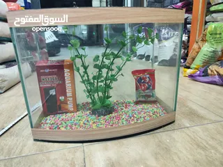  6 حوض سمك مجهز بالكامل ، بس حط سمكاتك الطول 32سم العمق 21 ارتفاع 29 سم