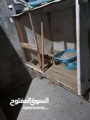  9 قفص مستعمل يدوي متر ونصف في 80 سم.................................................................