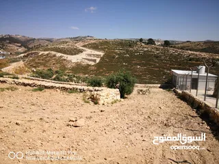  2 قطعة ارض مميزة في صوريف ابوشوك واصل كهرباء +زفتة (يمكن التبديل على شقة في مدينة الخليل)