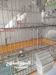  1 الله جبرهم الله يبارك للمشتري