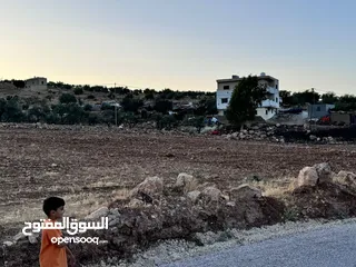  4 ارض للبيع مساحه 6 دونم و 400 متر النعيمه مستصلحه واصل كهرباء على شارع معبد 10 متر وقريبه من الخدمات