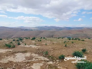  1 قطعة ارض 3دونمات ونصف فقط  مطلة ومرتفعه واصل جميع خدمات شرق جرش دحل