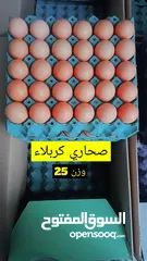  6 بيض عراقي طازج